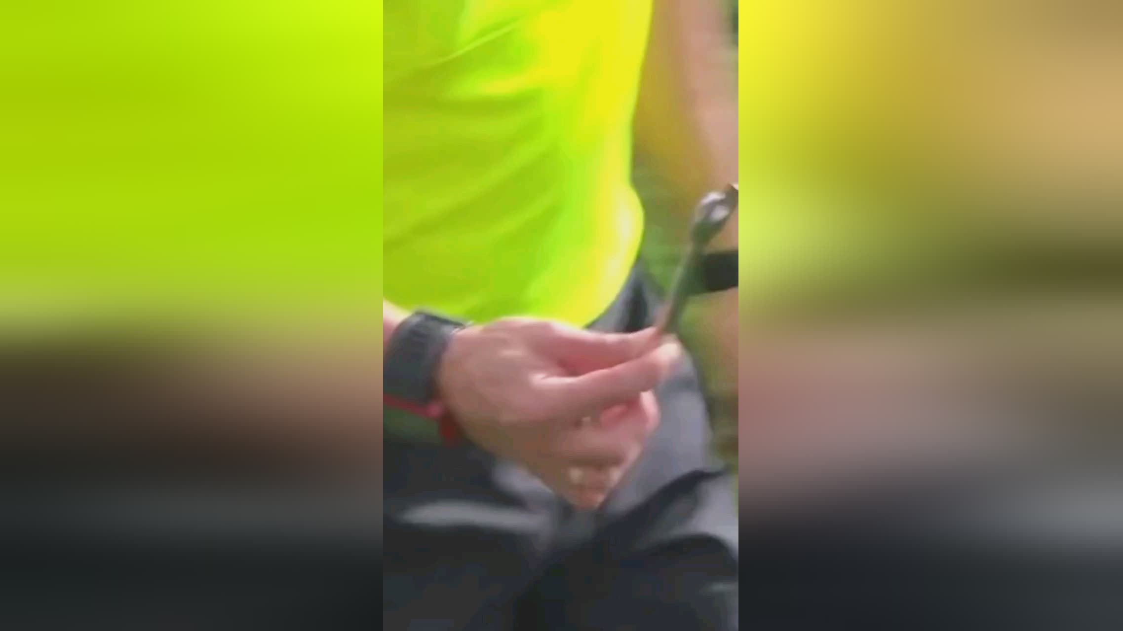 公司他